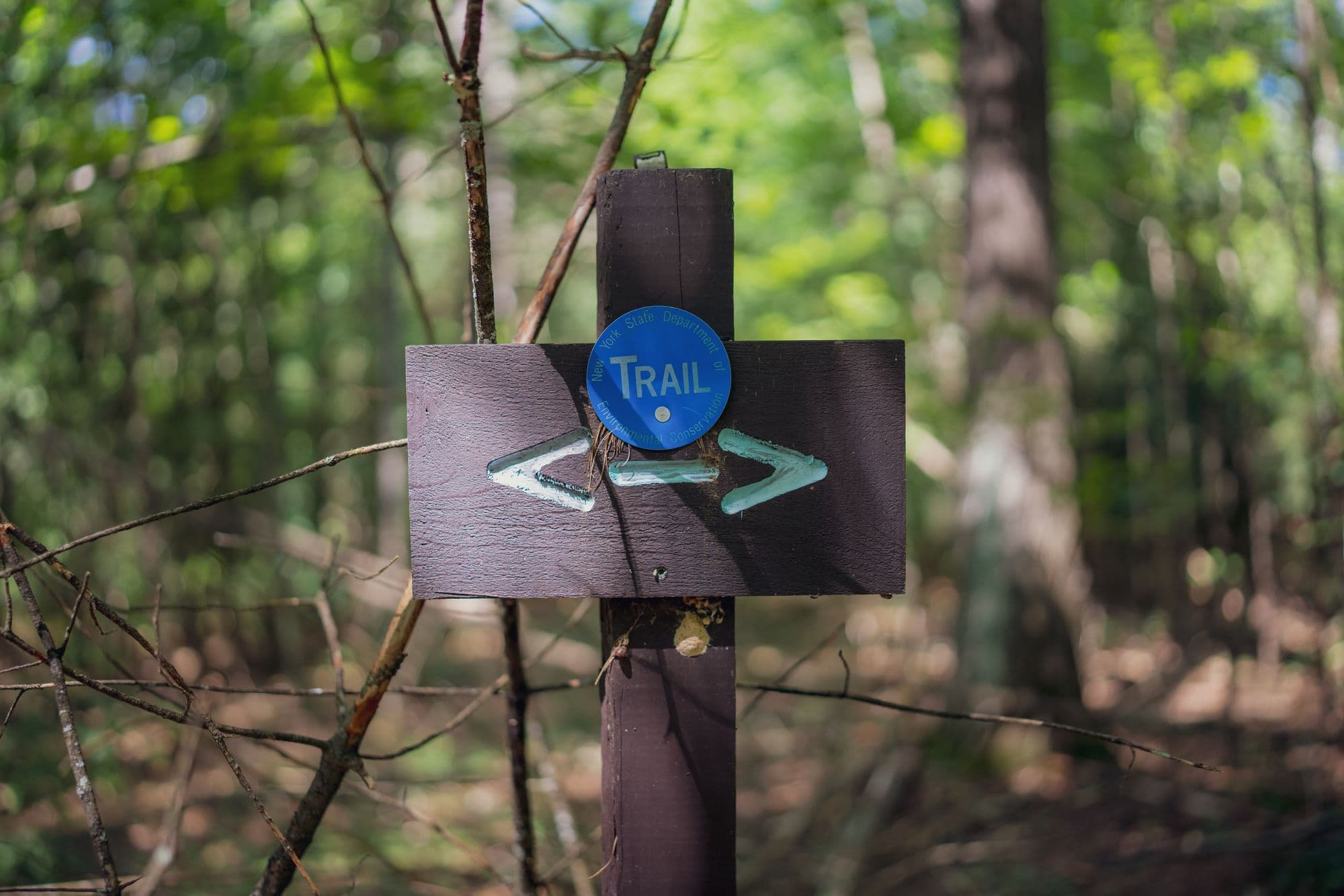 A wooden trail signpost with directional arrows in a sunlit forest