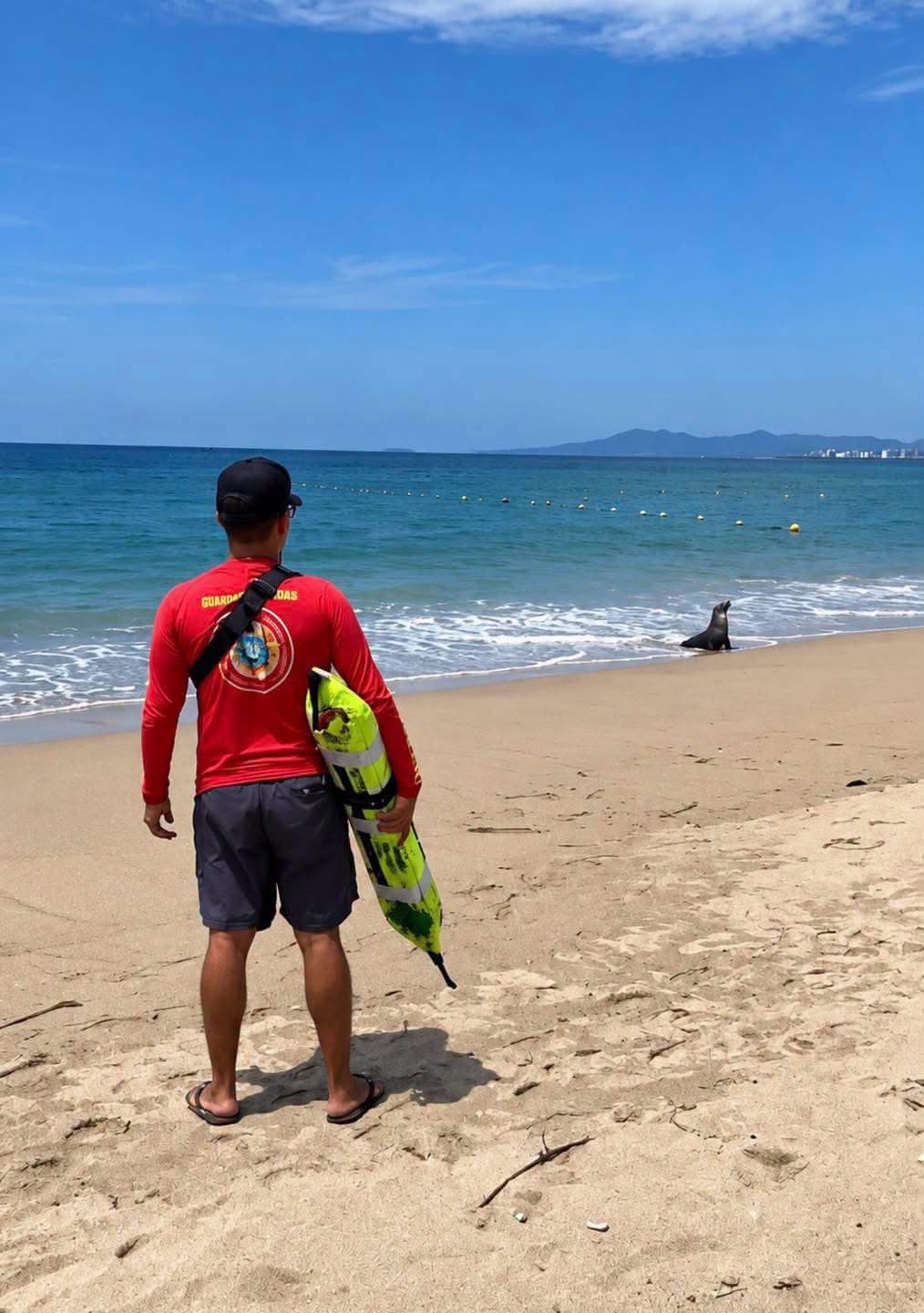 🦭🌊 An unexpected visitor! A sea lion rests on Camarones Beach