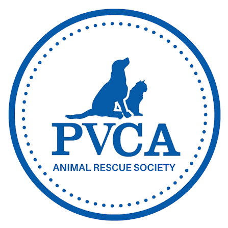 SPCA Puerto Vallarta
